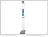 ���M(j��n)���������܂������y��